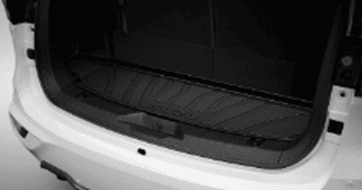 CARGO LINER EXP
